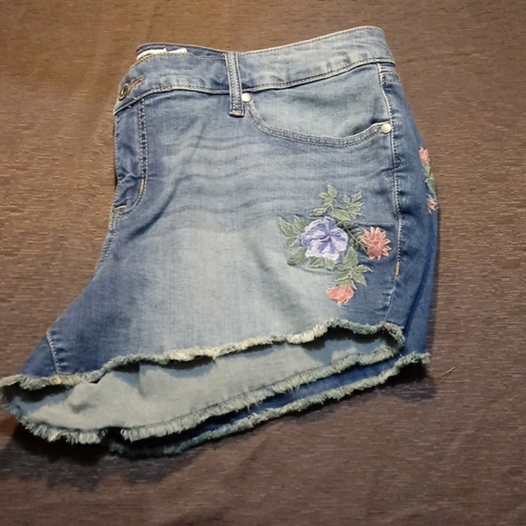 Torrid denim shorts - Picture 5 of 6